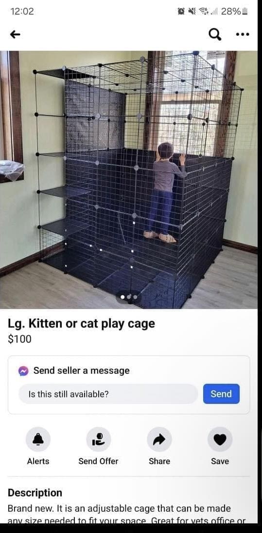 funny pics Lg. Kitten or cat play cage