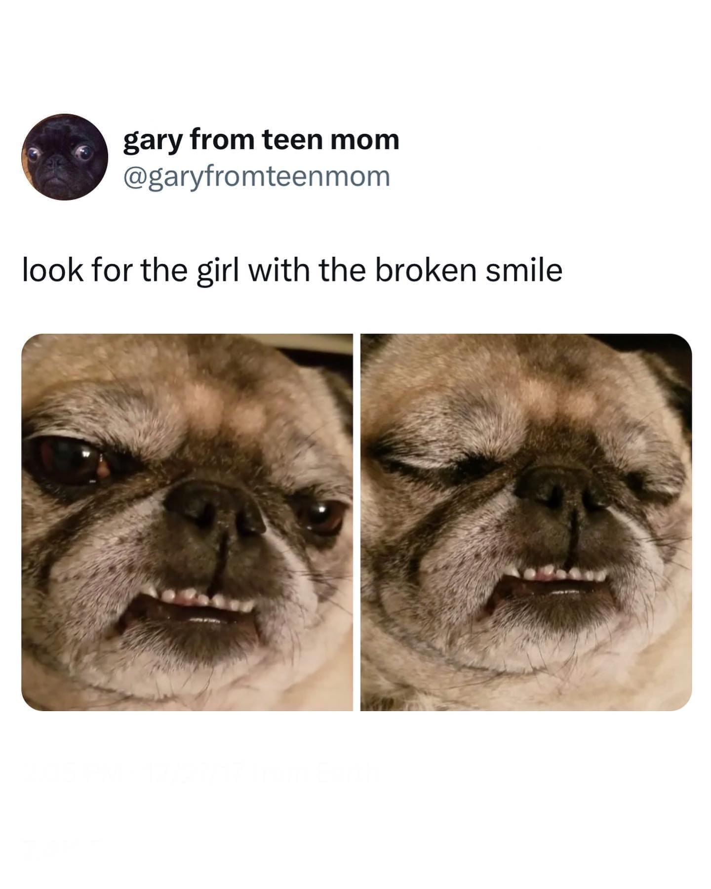 funny pics look for the girl with the broken smile