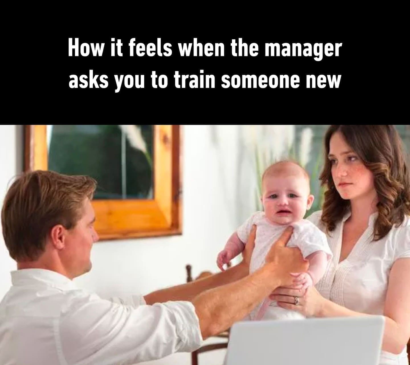 funny pics How it feels when the manager asks you to train someone new