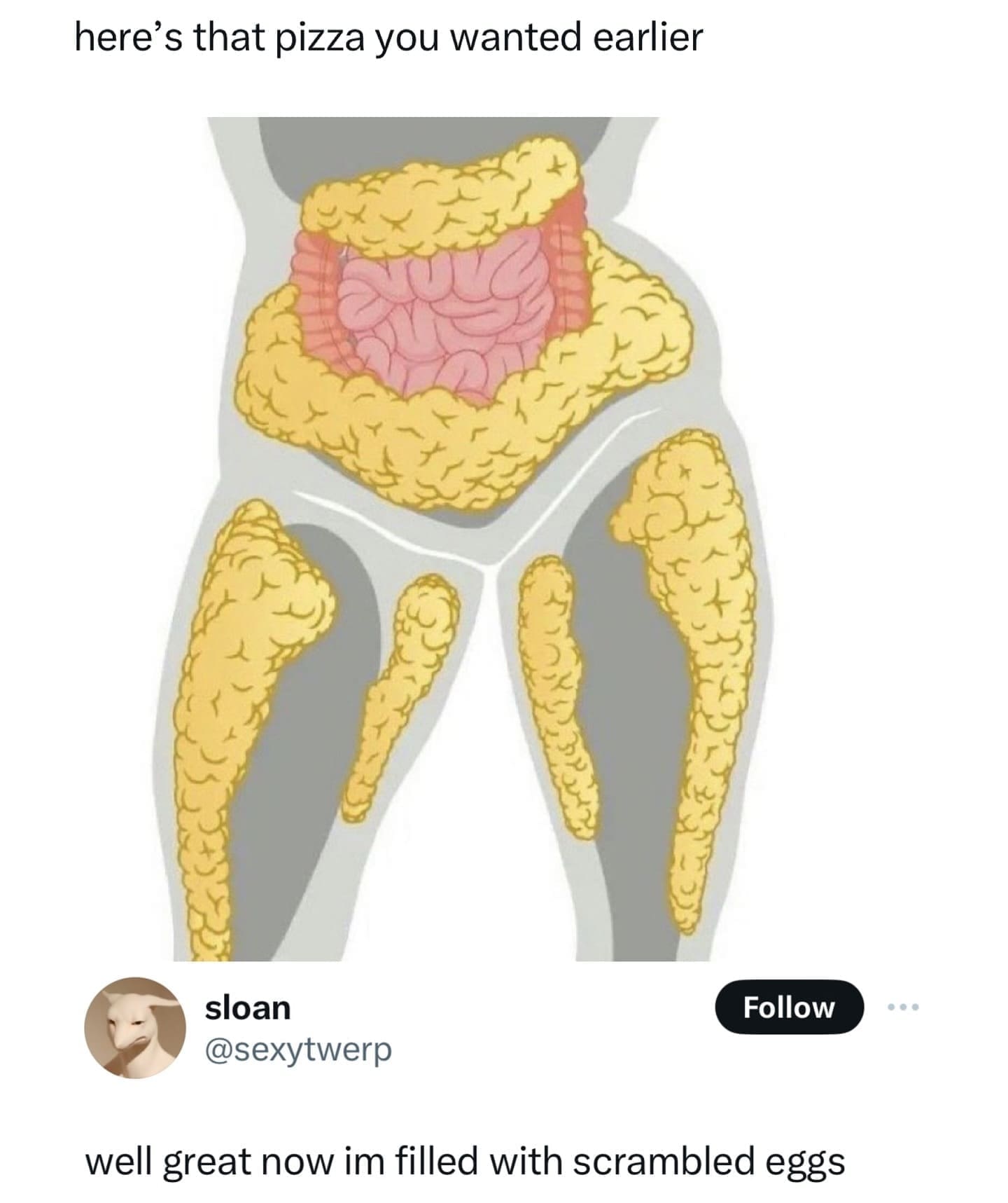 funny pics here's that pizza you wanted earlier well great now im filled with scrambled eggs