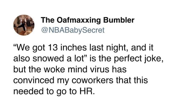 funny pics "We got 13 inches last night, and it also snowed a lot" is the perfect joke, but the woke mind virus has convinced my coworkers that this needed to go to HR.