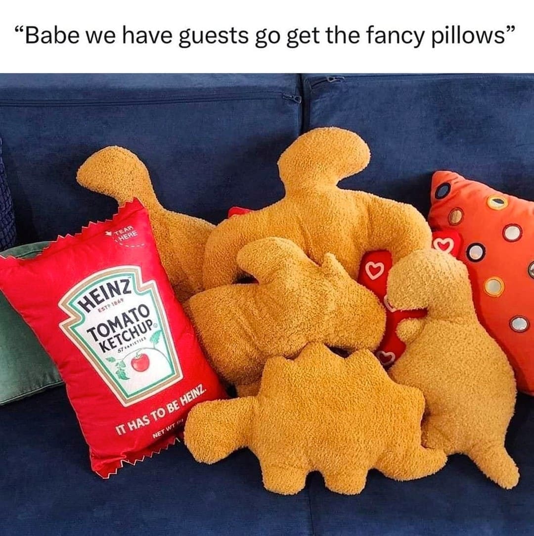 funny memes "Babe we have guests go get the fancy pillows"