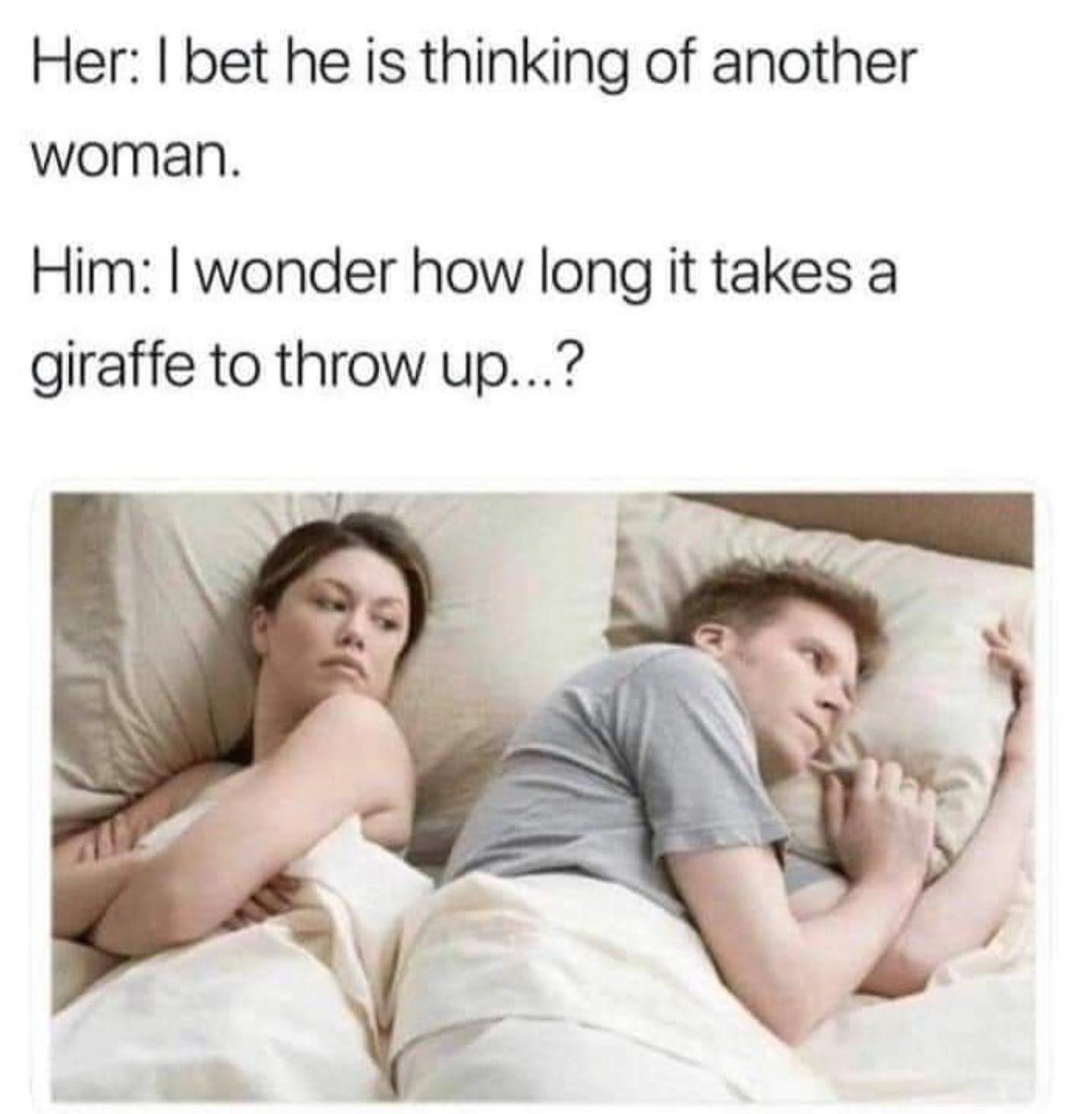 funny pics Her: I bet he is thinking of another woman. Him: I wonder how long it takes a giraffe to throw up..?