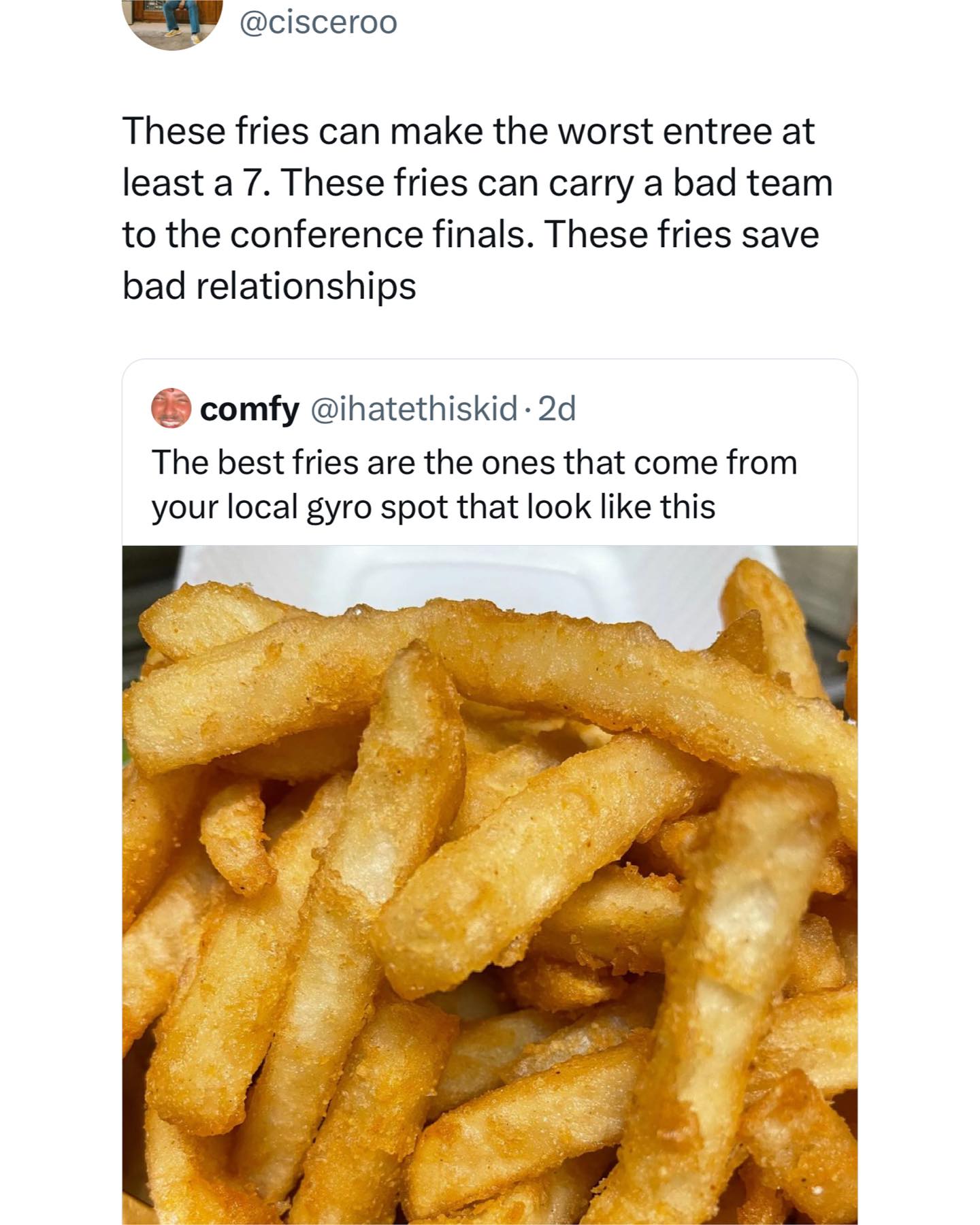 funny pics These fries can make the worst entree at least a 7. These fries can carry a bad team to the conference finals. These fries save bad relationships. The best fries are the ones that come from your local gyro spot that look like this