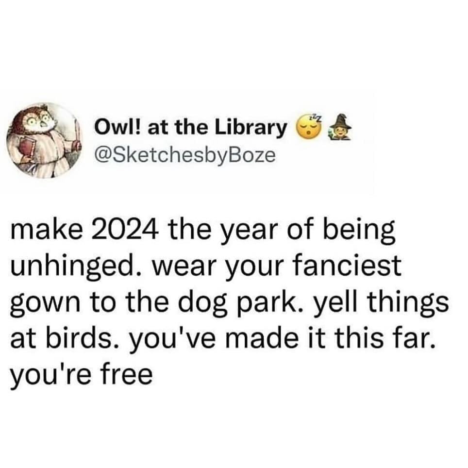 funny pics make 2024 the year of being unhinged. wear your fanciest gown to the dog park. yell things at birds. you've made it this far. you're free