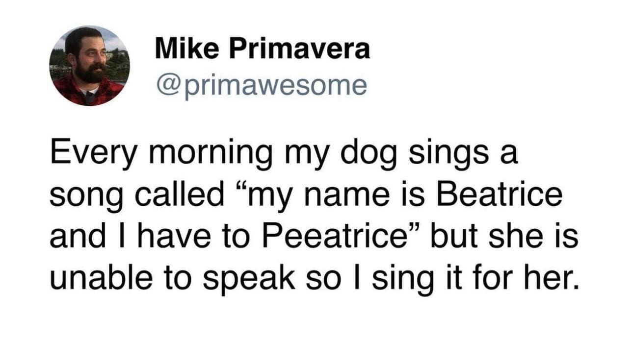 funny pics Every morning my dog sings a song called "my name is Beatrice and I have to Peeatrice" but she is unable to speak so l sing it for her.