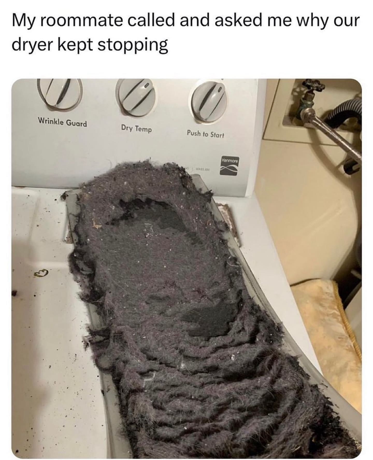 funny pics My roommate called and asked me why our dryer kept stopping