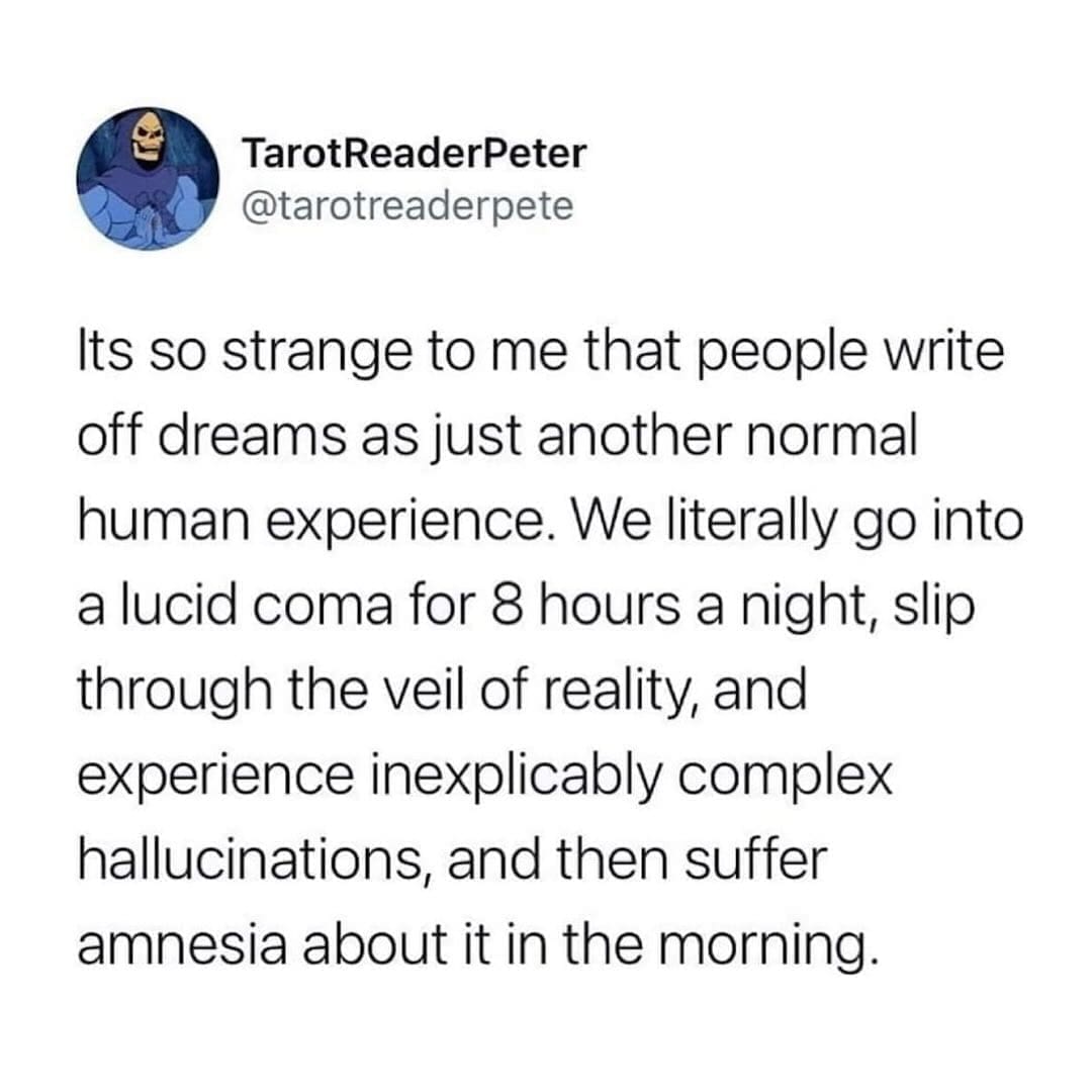funny pics Its so strange to me that people write off dreams as just another normal human experience. We literally go into a lucid coma for 8 hours a night, slip through the veil of reality, and experience inexplicably complex hallucinations, and then suffer amnesia about it in the morning.
