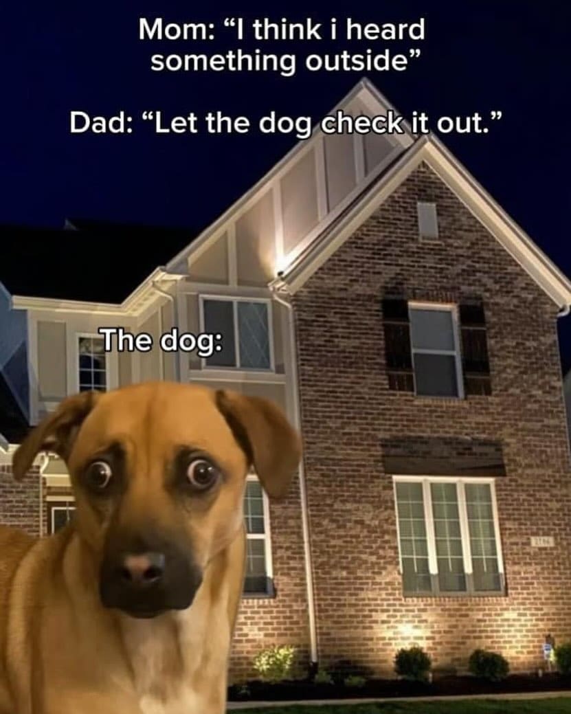 funny pics Mom: "I think i heard something outside" Dad: "Let the dog check it out." The dog: