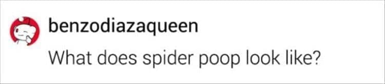 What does spider poop look like?