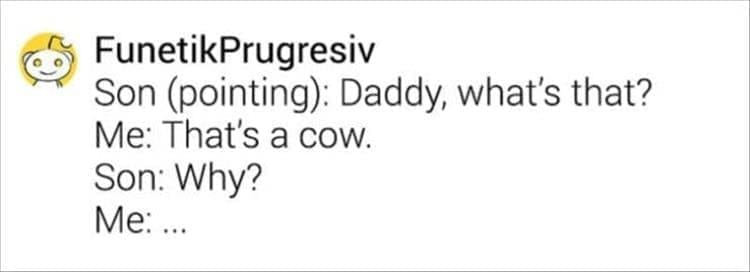 Son (pointing): Daddy, what's that? Me: That's a cow. Son: Why? Me: ...