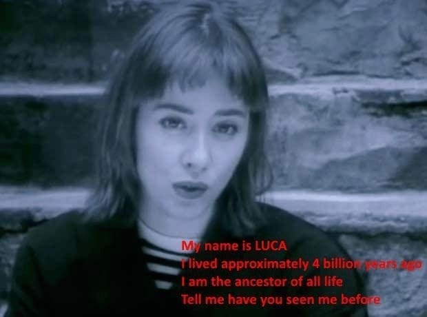 Science memes My name is LUCA lived approximately 4 billion ars ado I am the ancestor of all life Tell me have you seen me before
