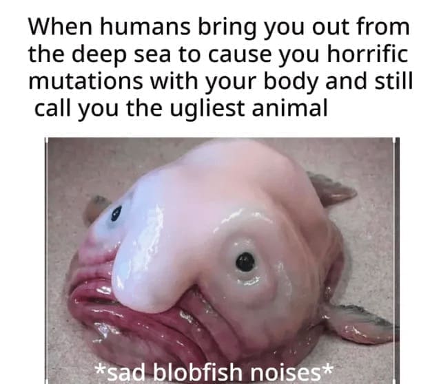 Science memes When humans bring you out from the deep sea to cause you horrific mutations with your body and still call you the ugliest animal *sad blobfish noises*