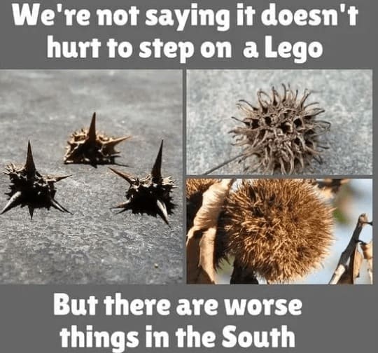 funny Southern memes We're not saying it doesn't hurt to step on a Lego. But there are worse things in the South