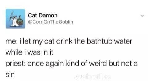 Funny tweets @CornOnTheGoblin me: i let my cat drink the bathtub water while i was in it priest: once again kind of weird but not a sin