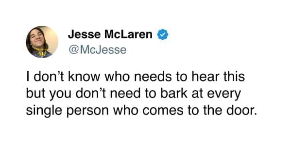 Funny women tweets McJesse I don't know who needs to hear this but you don't need to bark at every single person who comes to the door.