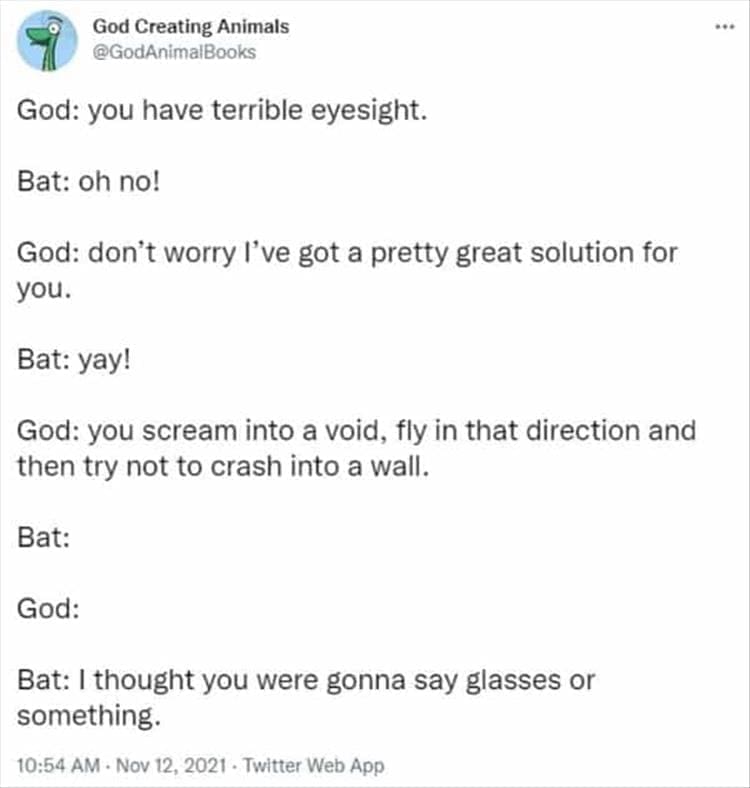 God Creating Animals God: you have terrible eyesight. Bat: oh no! God: don't worry l've got a pretty great solution for you. Bat: yay! God: you scream into a void, fly in that direction and then try not to crash into a wall. Bat: God: Bat: I thought you were gonna say glasses or something.