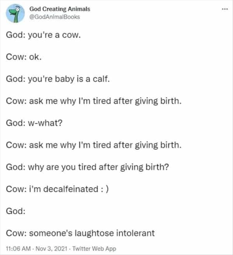 God Creating Animals God: you're a cow. Cow: ok. God: you're baby is a calf. Cow: ask me why I'm tired after giving birth. God: w-what? Cow: ask me why I'm tired after giving birth. God: why are you tired after giving birth? Cow: i'm decalfeinated: God: Cow: someone's laughtose intolerant