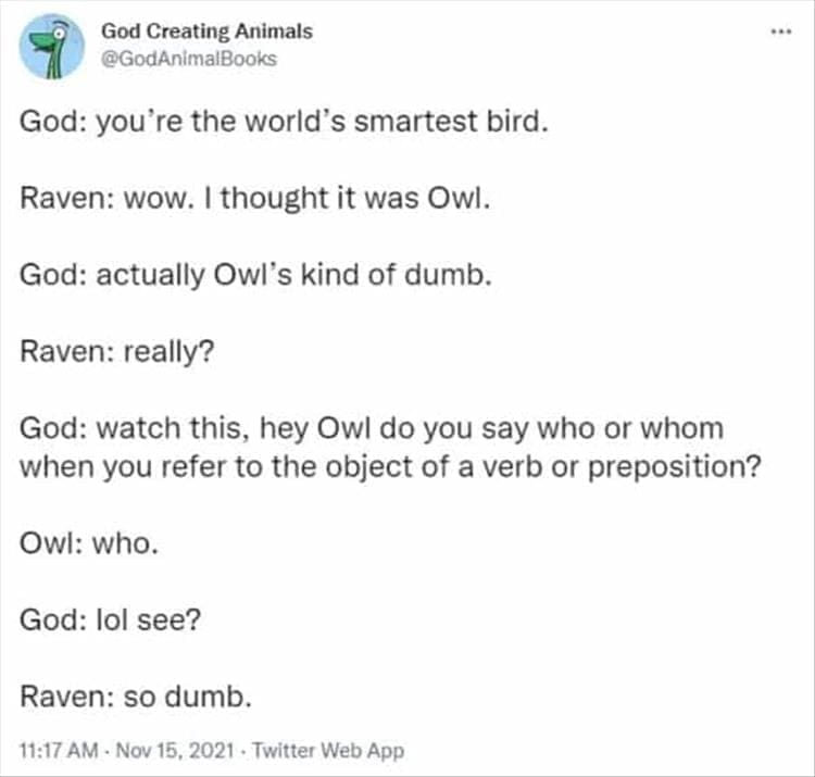 God Creating Animals God: you're the world's smartest bird. Raven: wow. I thought it was Owl. God: actually Owl's kind of dumb. Raven: really? God: watch this, hey Owl do you say who or whom when you refer to the object of a verb or preposition? Owl: who. God: lol see? Raven: so dumb.