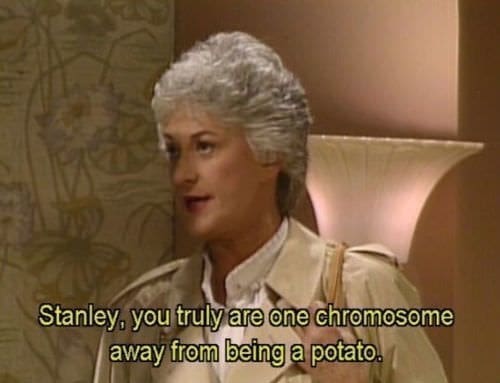 Golden girls memes Stanley, you truly are one chromosome away from being a potato.