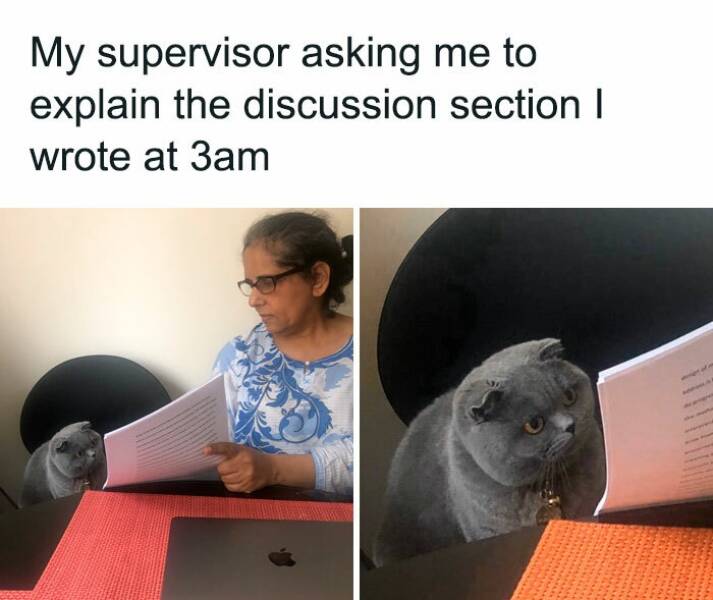 grad school memes My supervisor asking me to explain the discussion section I wrote at 3am