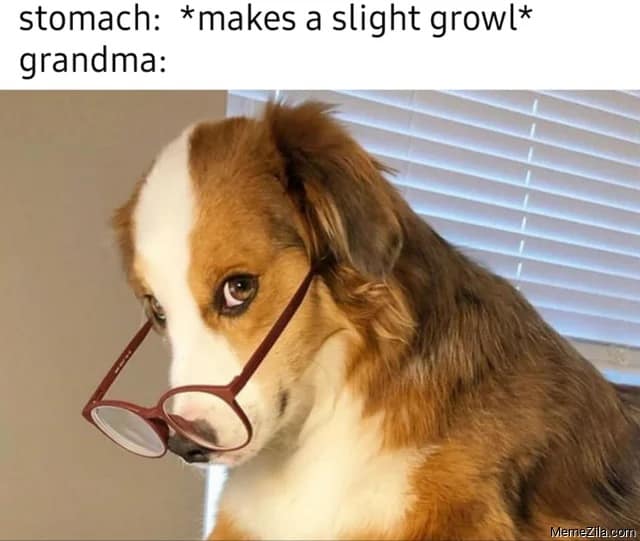 grandma memes, granny humor