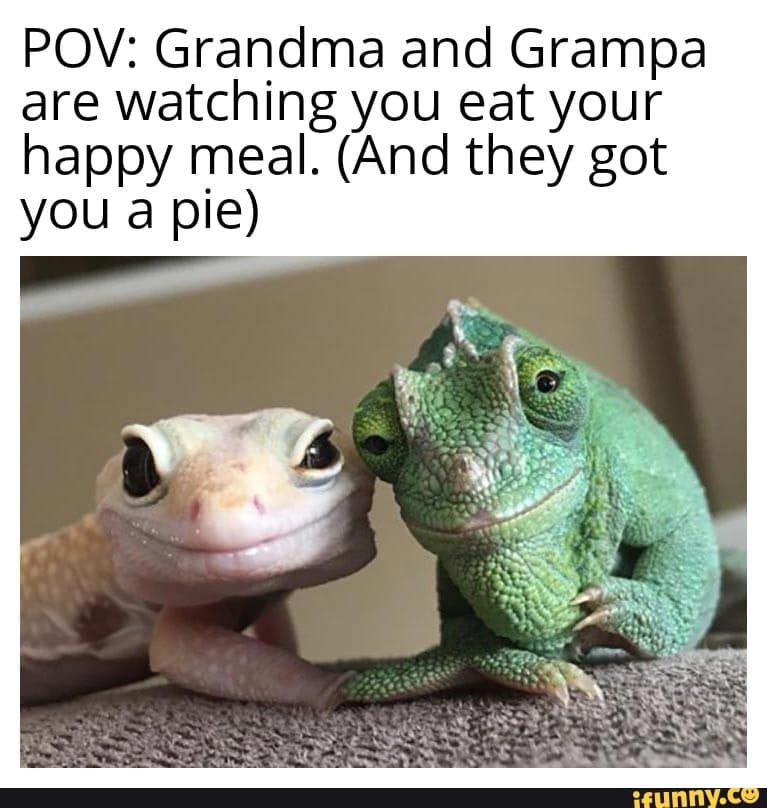 grandma memes, granny humor