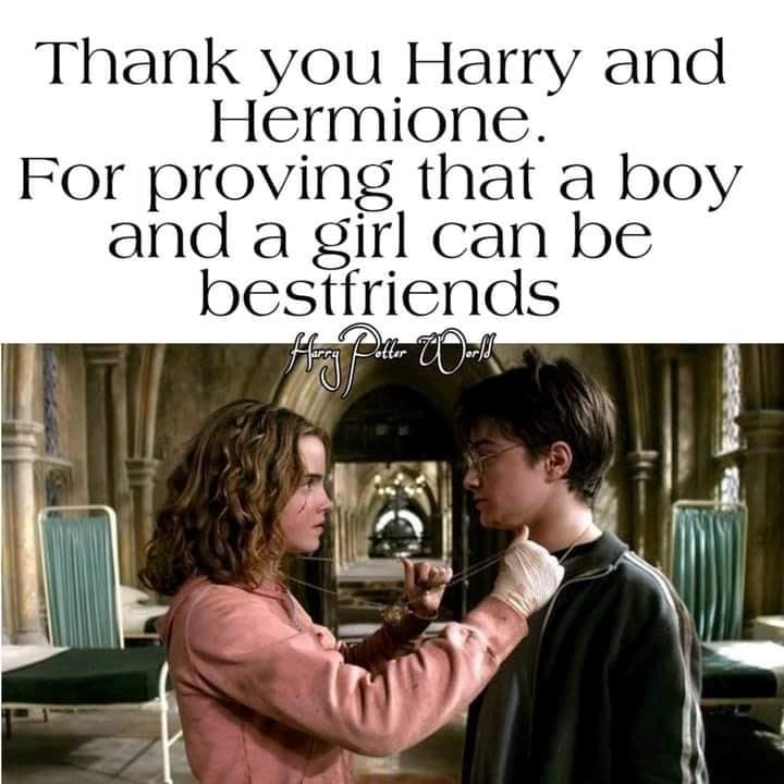 harry potter memes, wizarding world humor