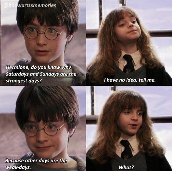 harry potter memes, wizarding world humor