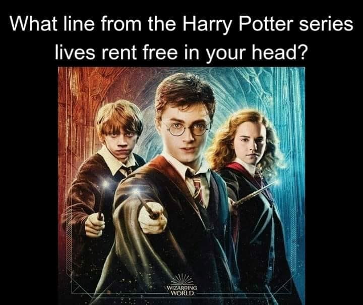harry potter memes, wizarding world humor