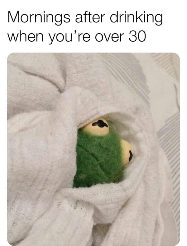 hungover meme