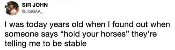 I was today years old I was today years old when I found out when someone says "hold your horses" they're telling me to be stable