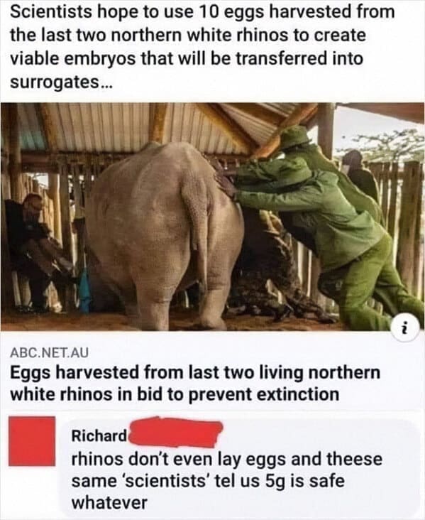 Scientists hope to use 10 eggs harvested from the last two northern white rhinos to create viable embryos that will be transferred into surrogates... Eggs harvested from last two living northern white rhinos in bid to prevent extinction Richard rhinos don't even lay eggs and theese same 'scientists' tel us 5g is safe whatever