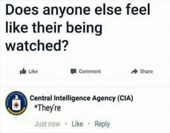 Incorrectly correcting Does anyone else feel like they're being watched? Central Intelligence Agency (CIA) *They're