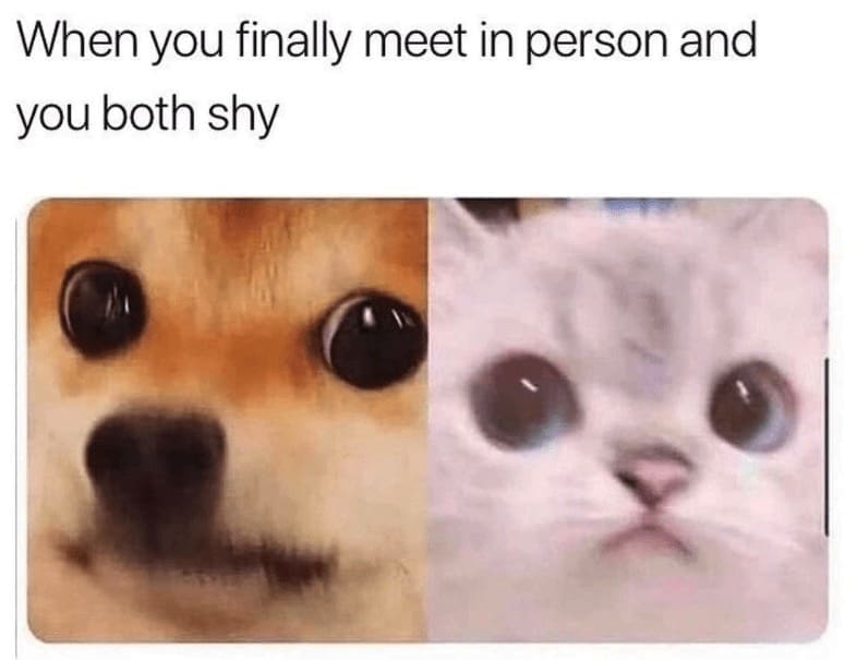 Introvert Dating Memes When you finally meet in person and you both shy