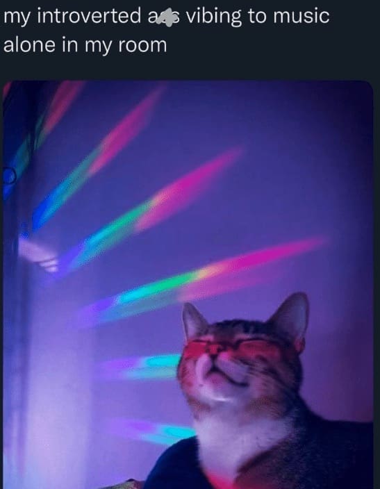 Introvert Dating Memes my introverted ads vibing to music alone in my room