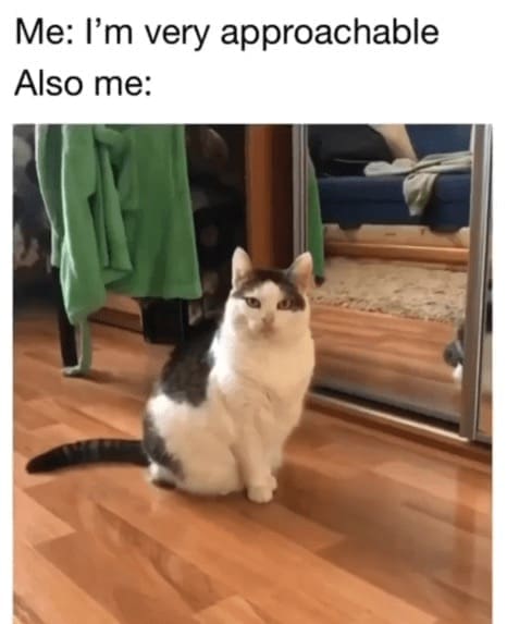 Introvert Dating Memes Me: I'm very approachable Also me: