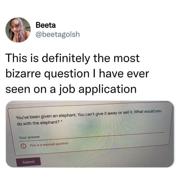 job search memes This is definitely the most bizarre question I have ever seen on a job application You've been given an elephant. You can't give it away or sell it. What would you do with the elephant? *
