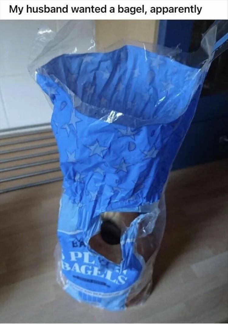 My husband wanted a bagel, apparently