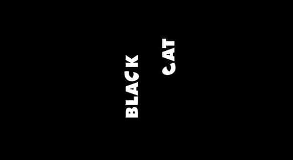 Logos with hidden meanings Black Cat