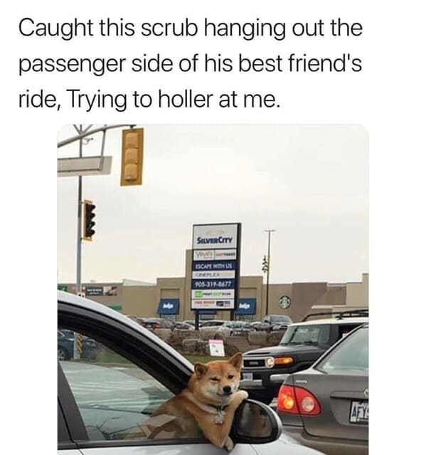 Long Distance Relationship Memes Caught this scrub hanging out the passenger side of his best friend's ride, Trying to holler at me.