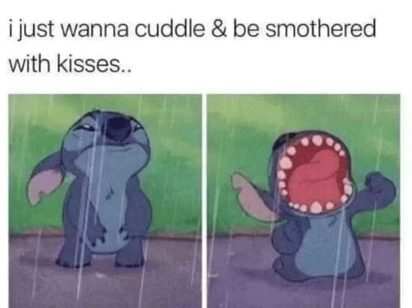 Long Distance Relationship Memes i just wanna cuddle & be smothered with kisses..
