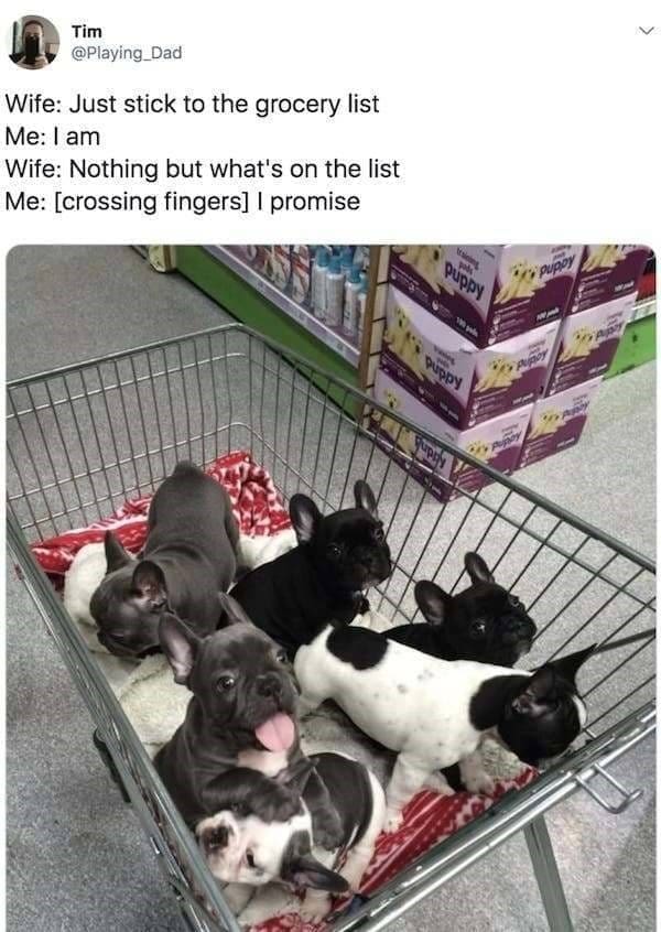 Marriage memes Wife: Just stick to the grocery list Me: 1 am Wife: Nothing but what's on the list Me: [crossing fingers] | promise