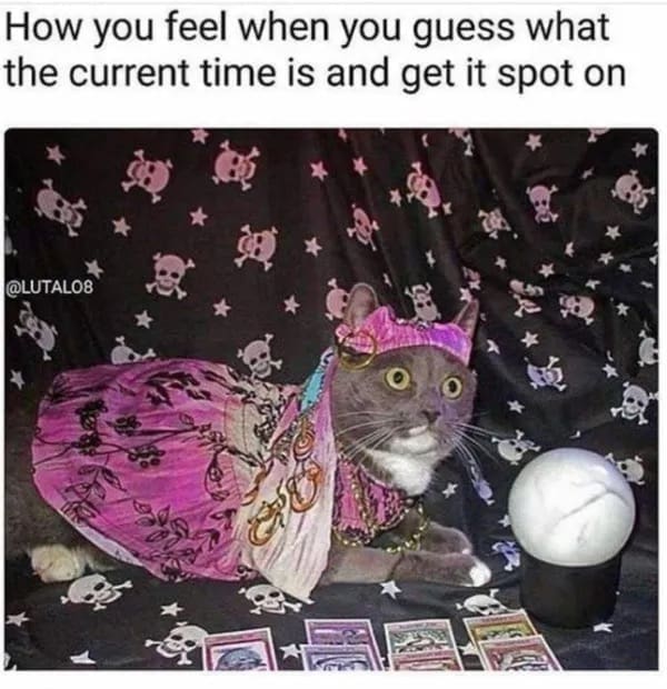 meme dump, hilarious memes