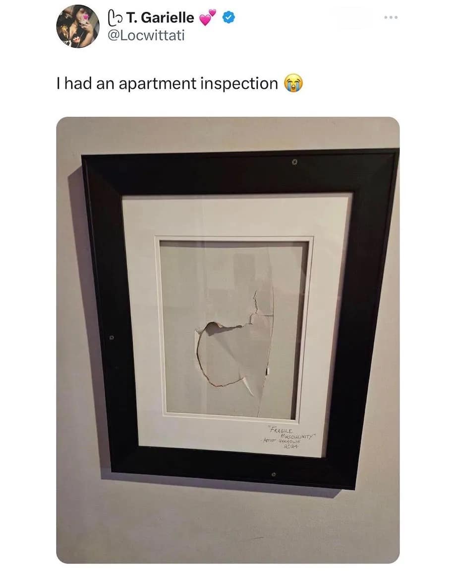 meme dump, hilarious memes