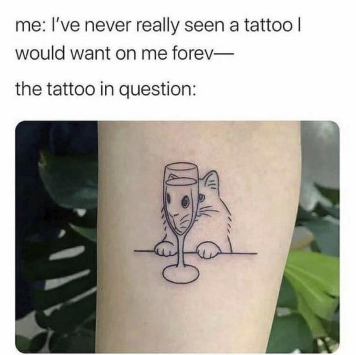 meme dump, hilarious memes