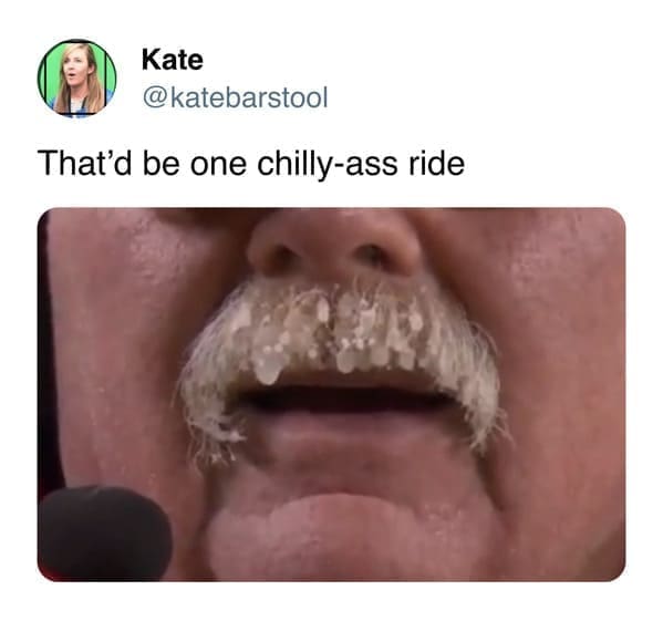 meme dump, hilarious memes