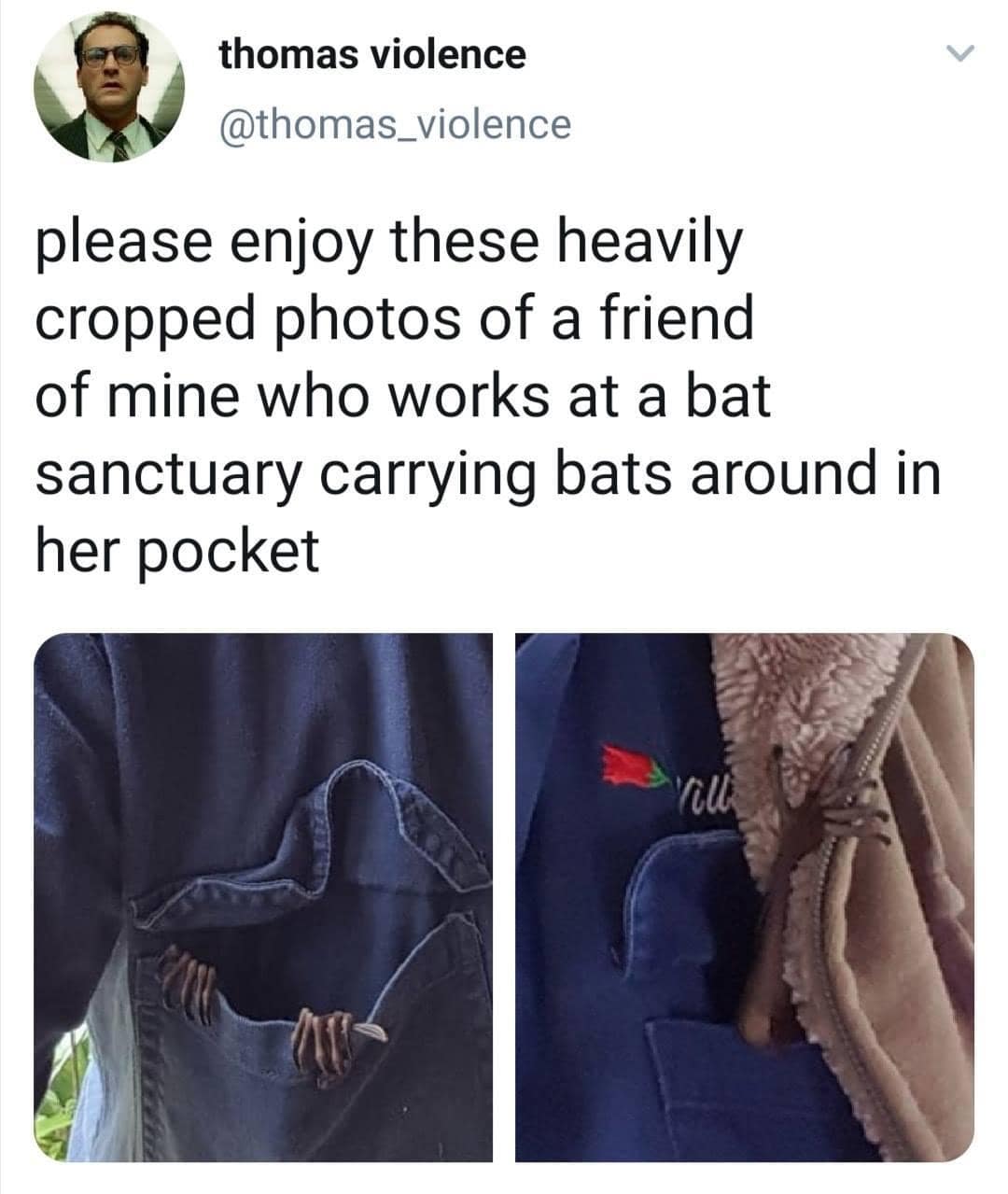 meme dump, hilarious memes