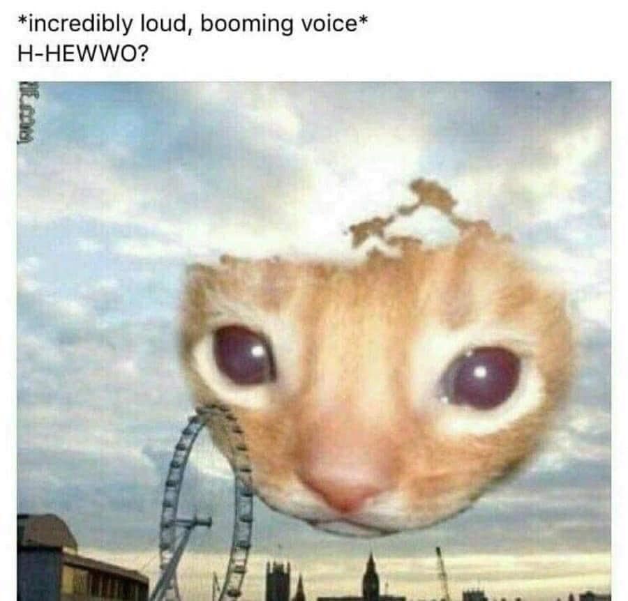 meme dump, hilarious memes