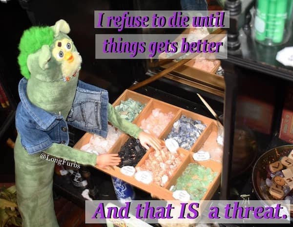 meme dump, hilarious memes